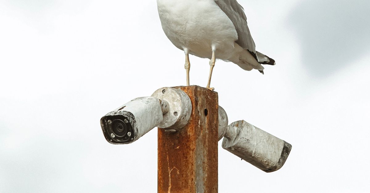 Integrating Bullet Cameras with Alarm Systems